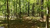 955 Cheatham Road - Photo 11