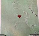0 Amber Lane - Photo 3