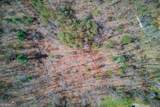 47 Tobacco Pouch Creek Road - Photo 37