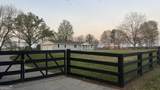 175 Moss Drive - Photo 37