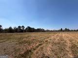 461 Currington Road - Photo 8
