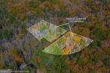 0 Willard Mountain Road - Photo 1