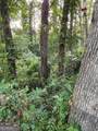 523 Spruce Drive - Photo 4