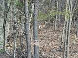 0 Old Federal Road - Photo 29