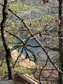 LOT 27 Lake Rabun Bluffs - Photo 15