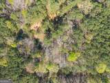 198 +/- ACRES Apalachee Woods Trail - Photo 20