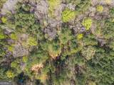 198 +/- ACRES Apalachee Woods Trail - Photo 21