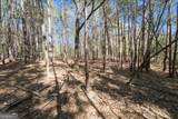 198 +/- ACRES Apalachee Woods Trail - Photo 25