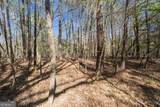 198 +/- ACRES Apalachee Woods Trail - Photo 31