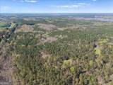 198 +/- ACRES Apalachee Woods Trail - Photo 4