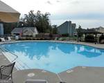 16 Colt Court - Photo 40