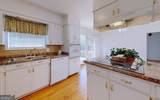 104 Azalea Lane - Photo 13