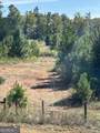 4946 Fayetteville Road - Photo 11