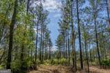 0 Highway 110 (2.02 Acres) - Photo 11