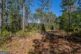0 Highway 110 (2.02 Acres) - Photo 9