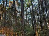 203 View Pointe Lane - Photo 12