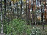 203 View Pointe Lane - Photo 13