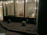 825 Hidden Hollow Circle - Photo 24
