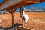 463 Valley Road - Photo 45