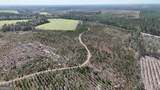 TRACT 6 Ingram Road - Photo 3