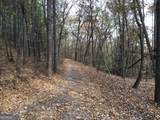0 Lake Margarete Road - Photo 8
