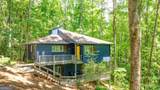 49 Baum Weg - Photo 60