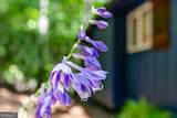 49 Baum Weg - Photo 61