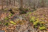 LT 13 Rocky Ridge - Photo 17