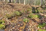 LT 13 Rocky Ridge - Photo 19