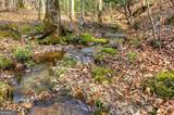 LT 13 Rocky Ridge - Photo 21