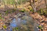 LT 13 Rocky Ridge - Photo 4