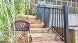 137 Narrows Loop - Photo 41