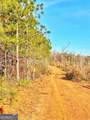 4843 Greer Road - Photo 23