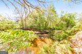 358 Nature Brook Walk - Photo 60