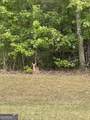 LOT 16 South Point Drive - Photo 2