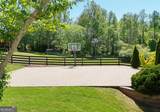 204 Lynn Lane - Photo 23