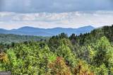 603 Redberry Ridge Road - Photo 14