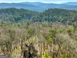 1183 Bear Paw Trail - Photo 6