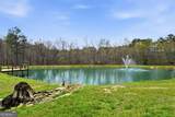 738 Overlook Trail - Photo 52