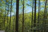 396 Dover Falls Trail - Photo 5