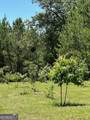 4747 Donnan Road - Photo 49