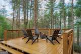 188 The Forest Road - Photo 33