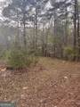 106 Missed Lane - Photo 14