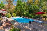 591 Delphinium Boulevard - Photo 88