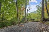 4113 White Oak Drive - Photo 38
