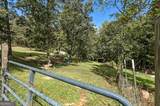 447 Grandview Road - Photo 23