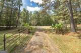 447 Grandview Road - Photo 25