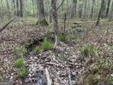 2246 Neal Gap Road - Photo 34