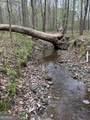 2246 Neal Gap Road - Photo 35