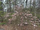2246 Neal Gap Road - Photo 4